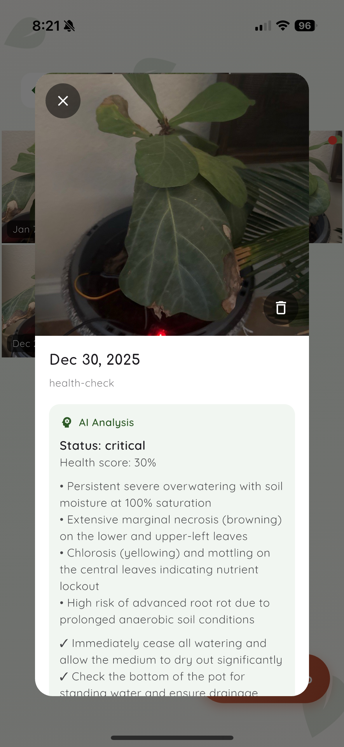 AI Health Analysis